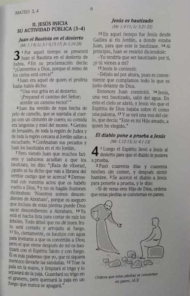 NT, Dios Habla Hoy, Mehrfarbig, Spanisch.